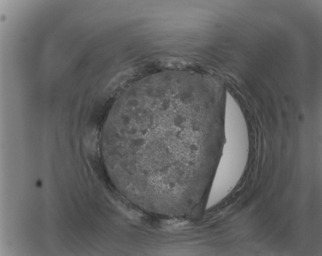 X0000062850511200601272045