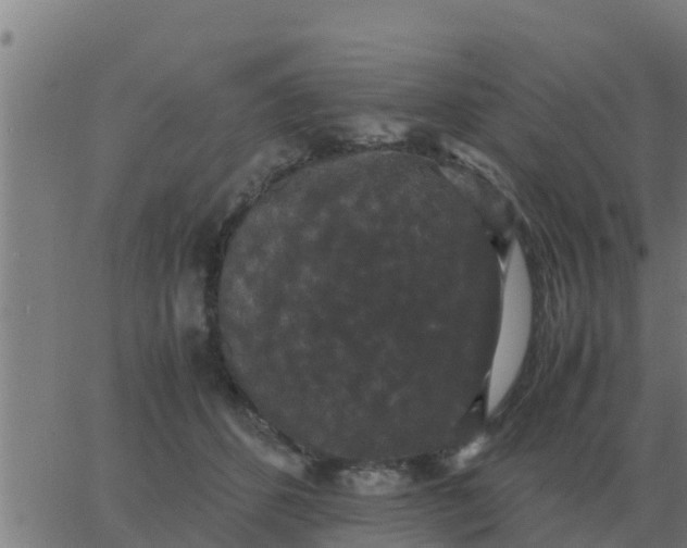 X0000062850512200601272045