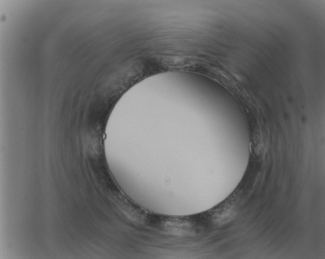 X0000062850515200601272045