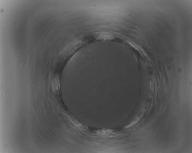 X0000062850517200601272044