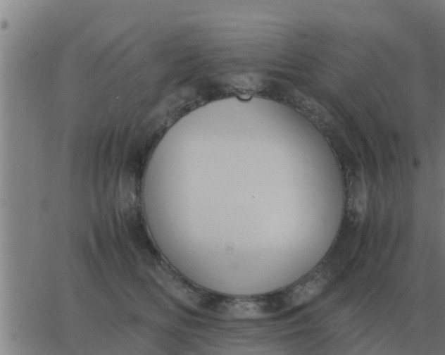 X0000062850518200601272044