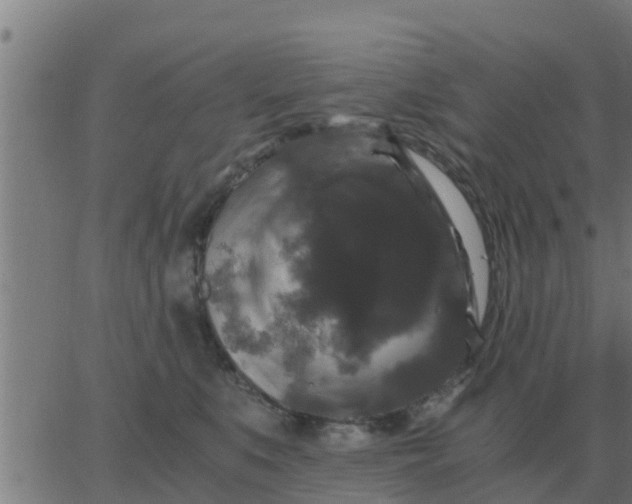 X0000062850519200601272044