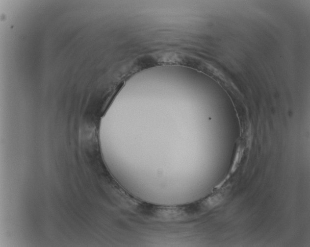 X0000062850521200601272044