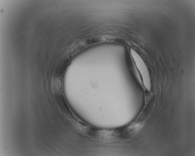 X0000062850523200601272044