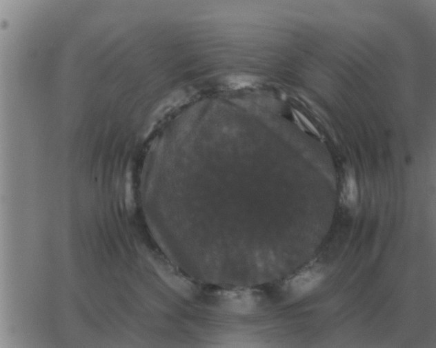 X0000062850524200601272044