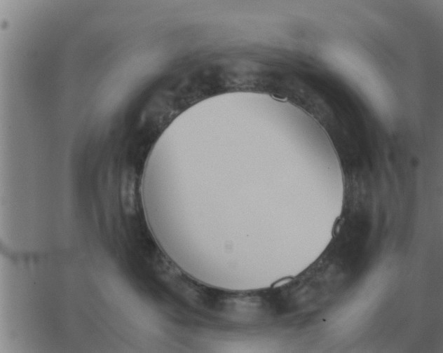 X0000062850525200601272044