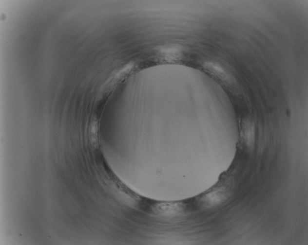 X0000062850526200601272044