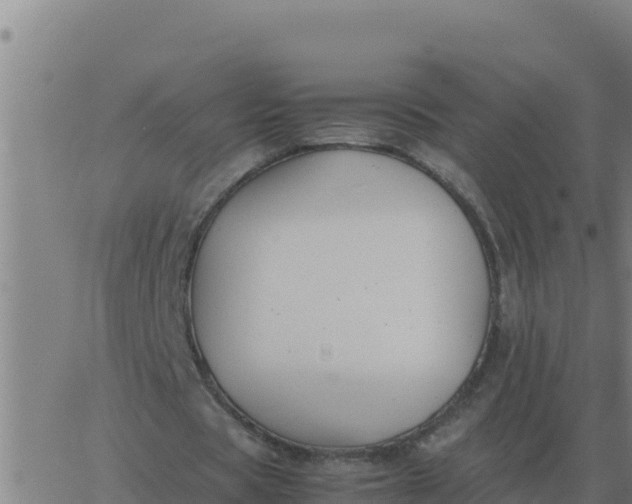 X0000062850529200601272044