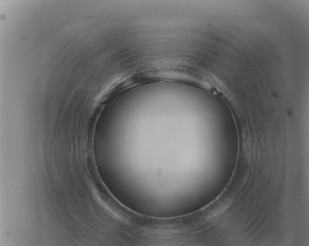 X0000062850530200601272044