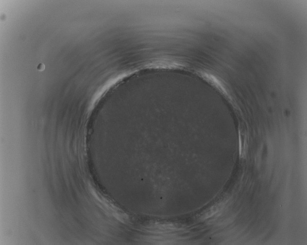 X0000062850531200601272044