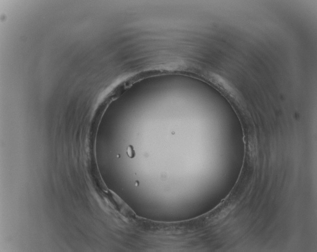 X0000062850532200601272044