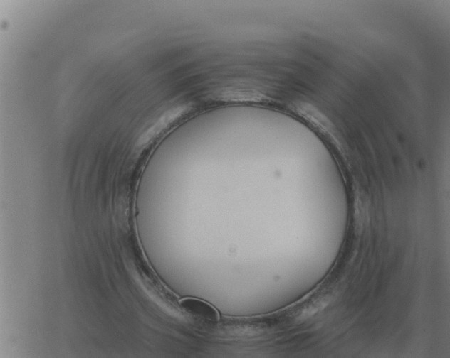 X0000062850533200601272044