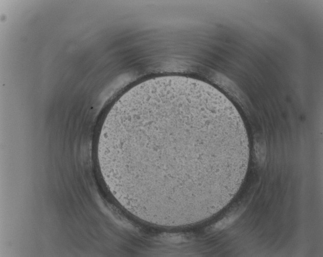 X0000062850534200601272044