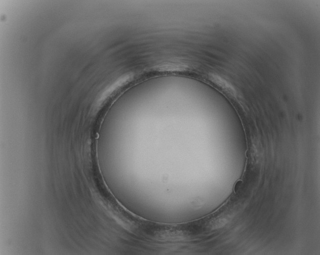 X0000062850535200601272044