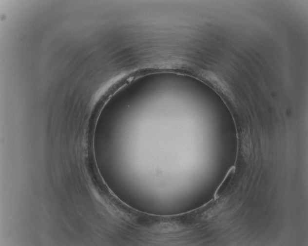 X0000062850536200601272044