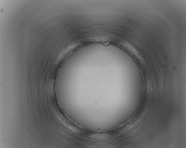 X0000062850537200601272044