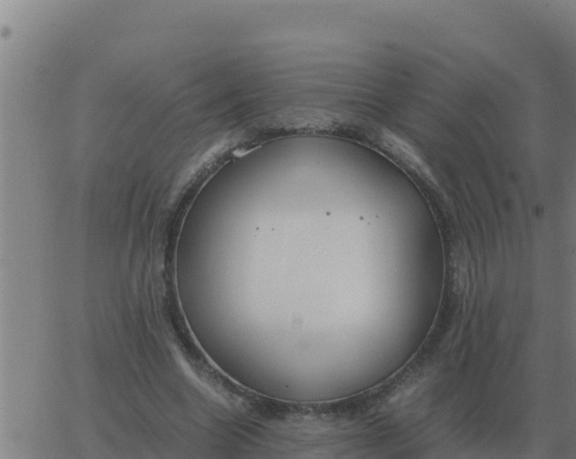 X0000062850538200601272044