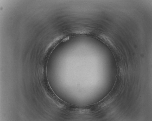 X0000062850539200601272044