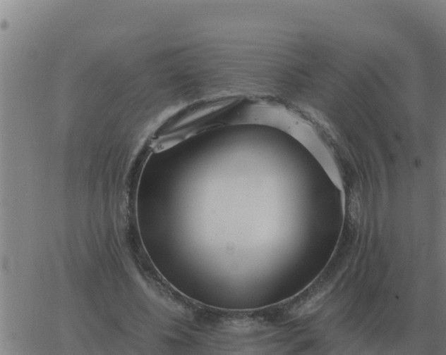 X0000062850540200601272044