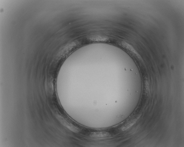 X0000062850541200601272044