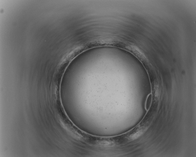 X0000062850542200601272044