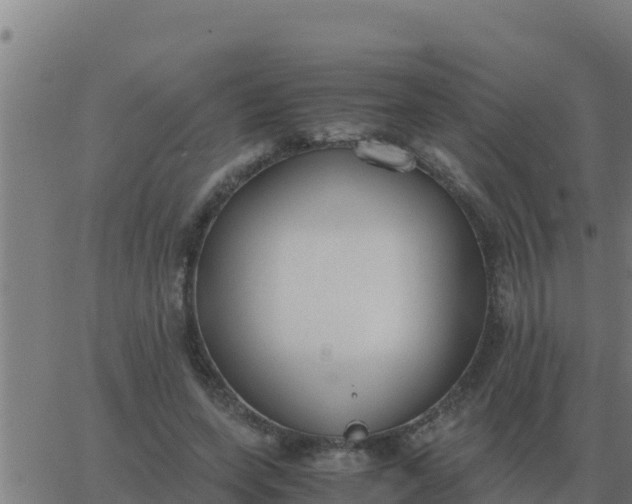 X0000062850543200601272044