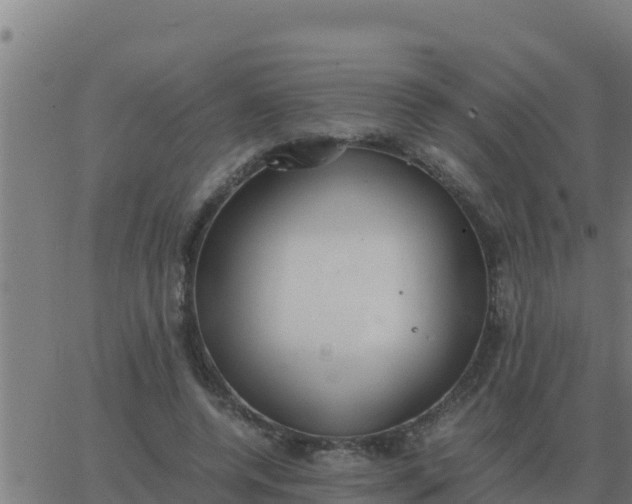 X0000062850544200601272044