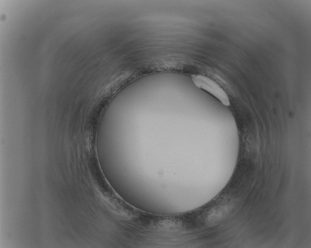 X0000062850546200601272044