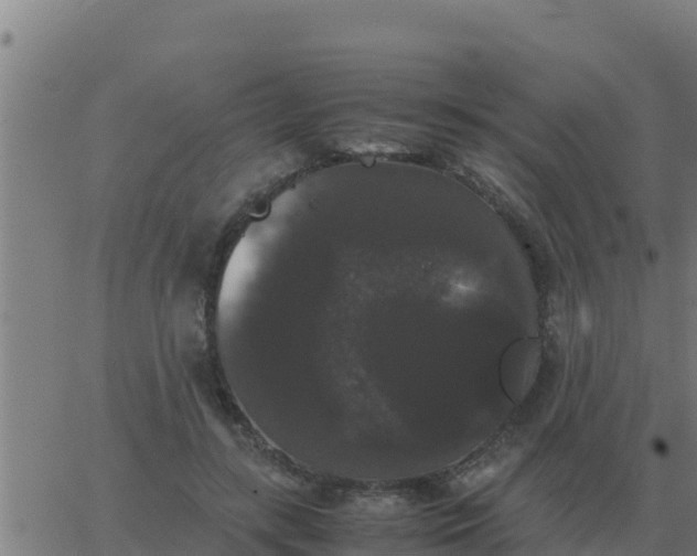 X0000062850547200601272044