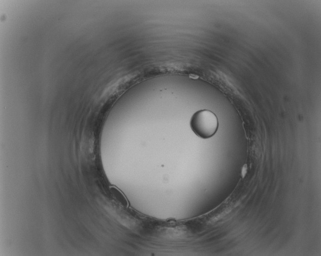 X0000062850548200601272044