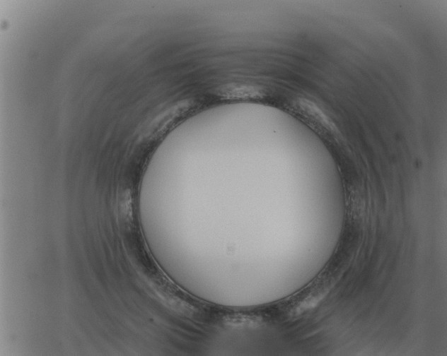 X0000062850549200601272044