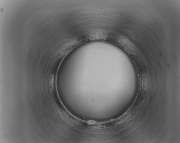 X0000062850550200601272044