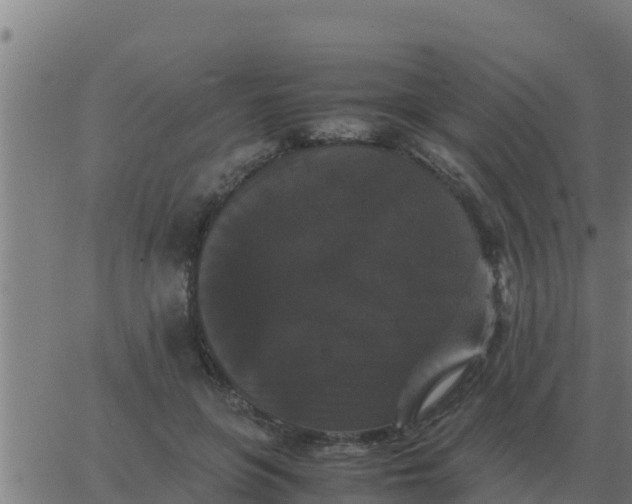 X0000062850551200601272044