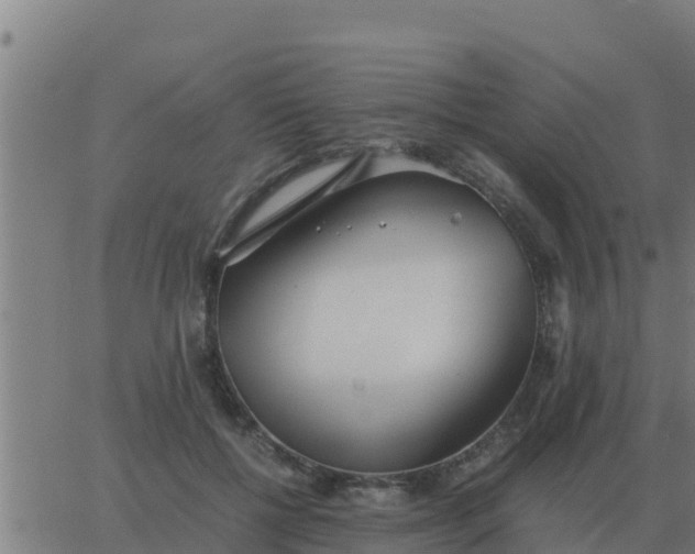 X0000062850552200601272044