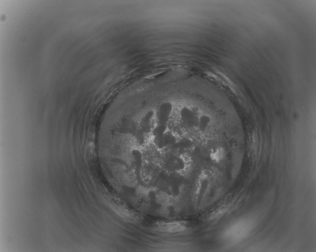 X0000062850553200601272044