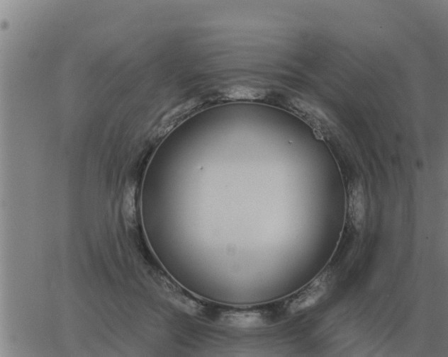 X0000062850554200601272044