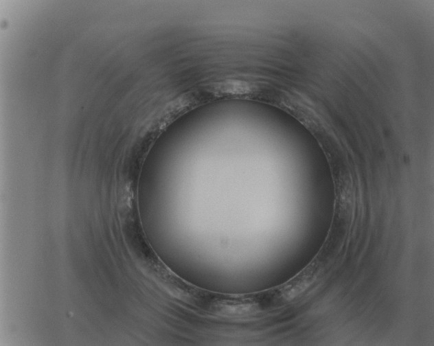 X0000062850555200601272044