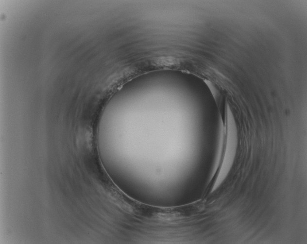 X0000062850556200601272044