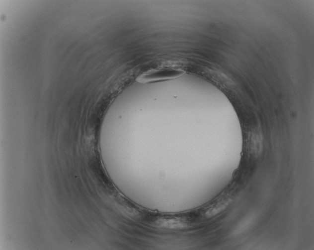 X0000062850557200601272044