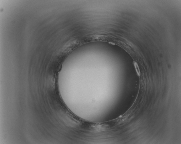 X0000062850558200601272044