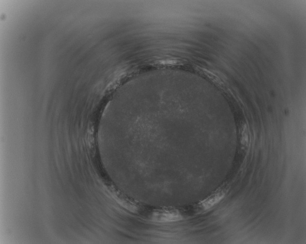 X0000062850559200601272044