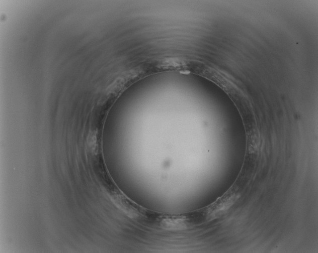 X0000062850560200601272044