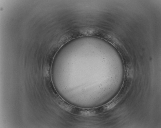 X0000062850561200601272044