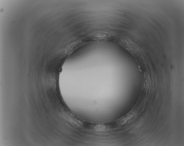 X0000062850562200601272044