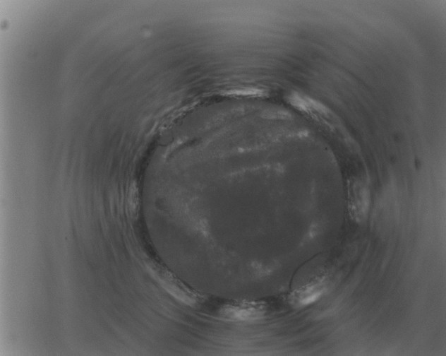 X0000062850563200601272044