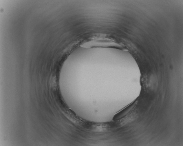 X0000062850564200601272044