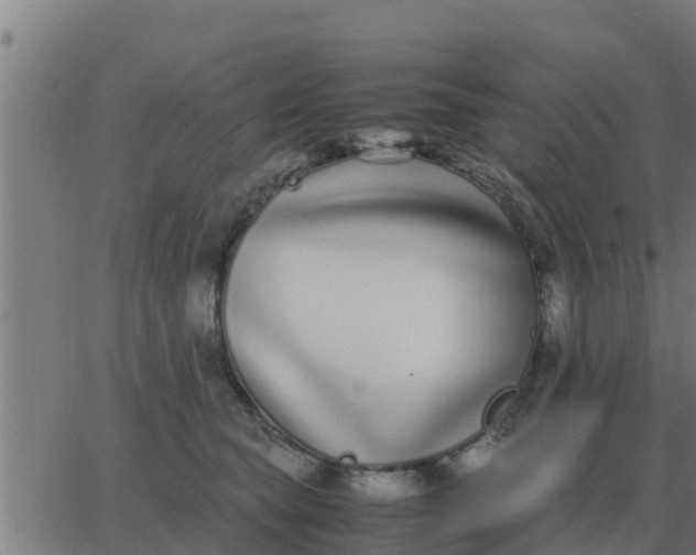 X0000062850565200601272044