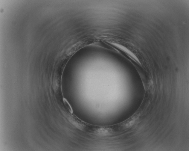 X0000062850566200601272044