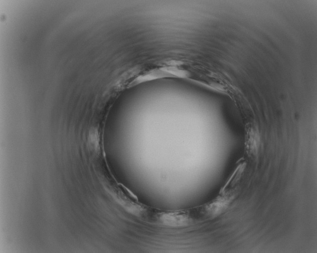 X0000062850568200601272044