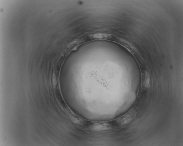 X0000062850569200601272044